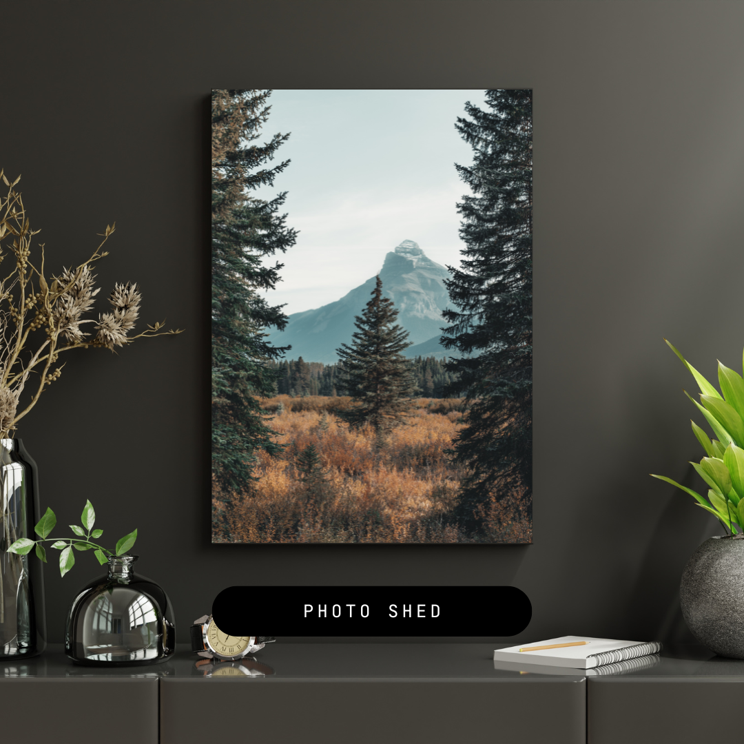 A3 (11.5x16inch) Metal Poster Glossy White ...